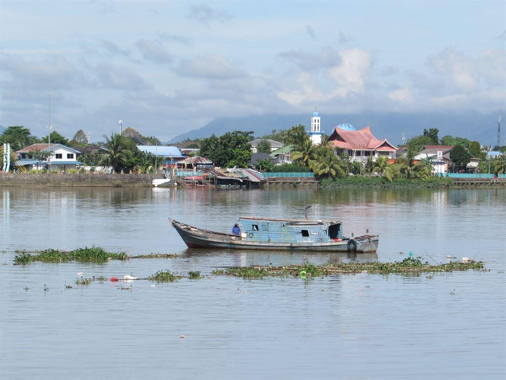 collectorboat
