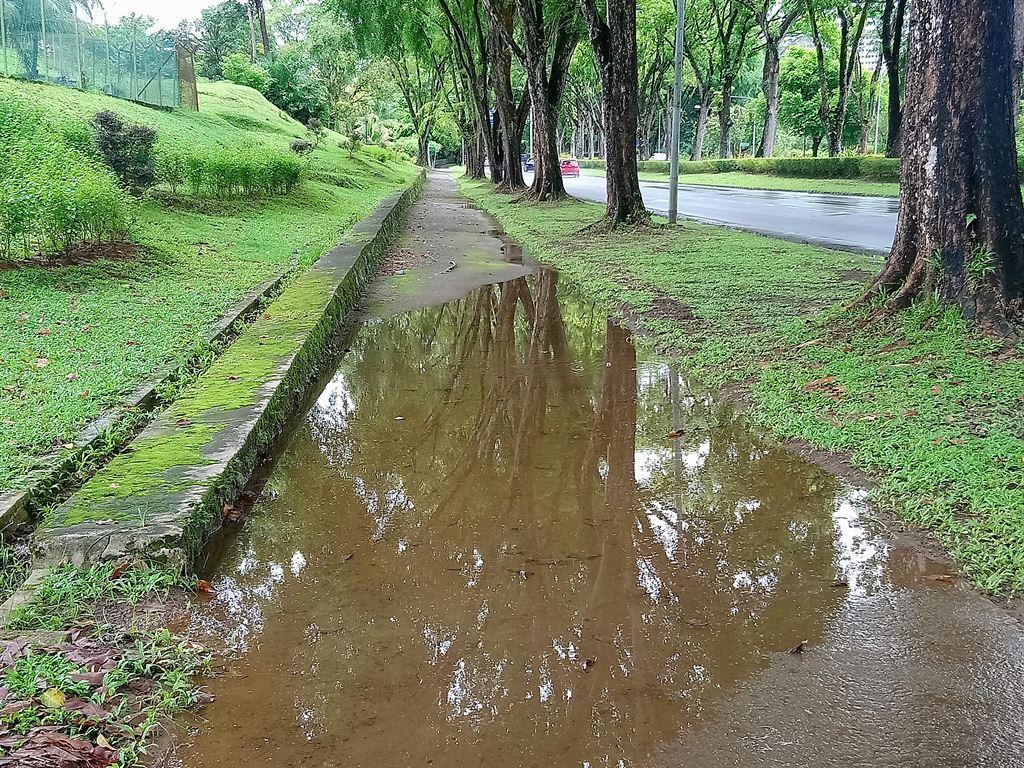 puddle