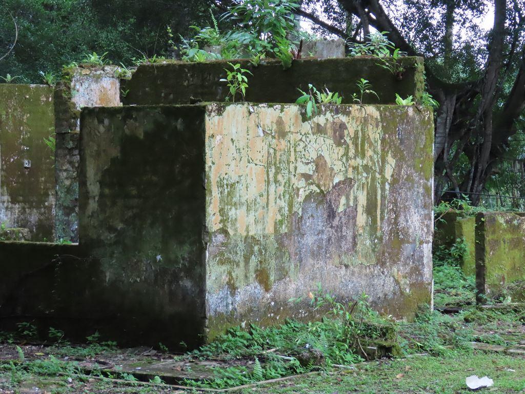 ruin2