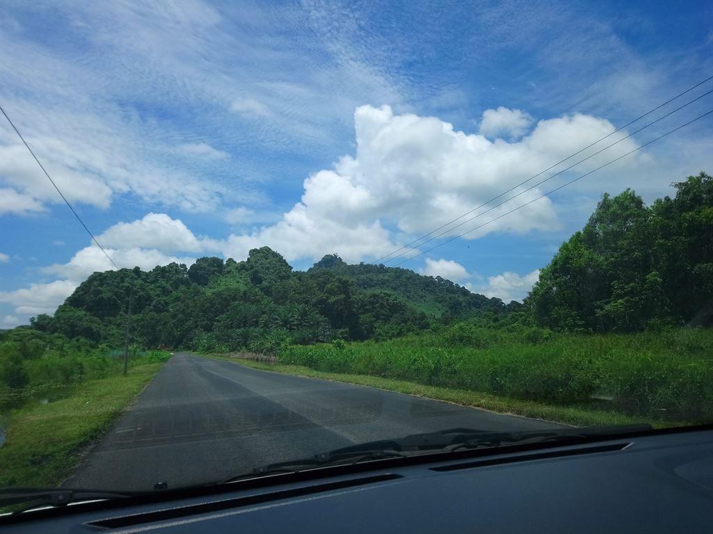 scenery1