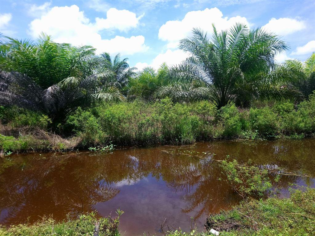 scenery2