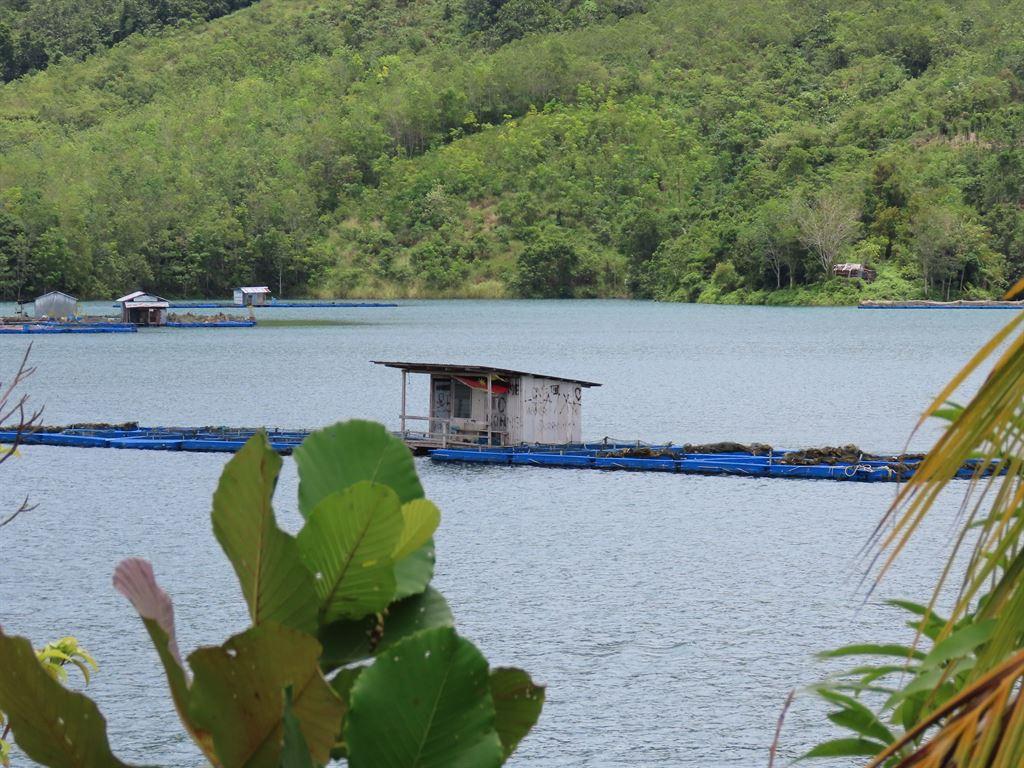 fishfarm