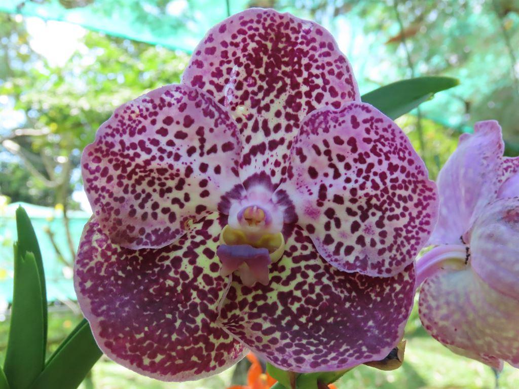fl9