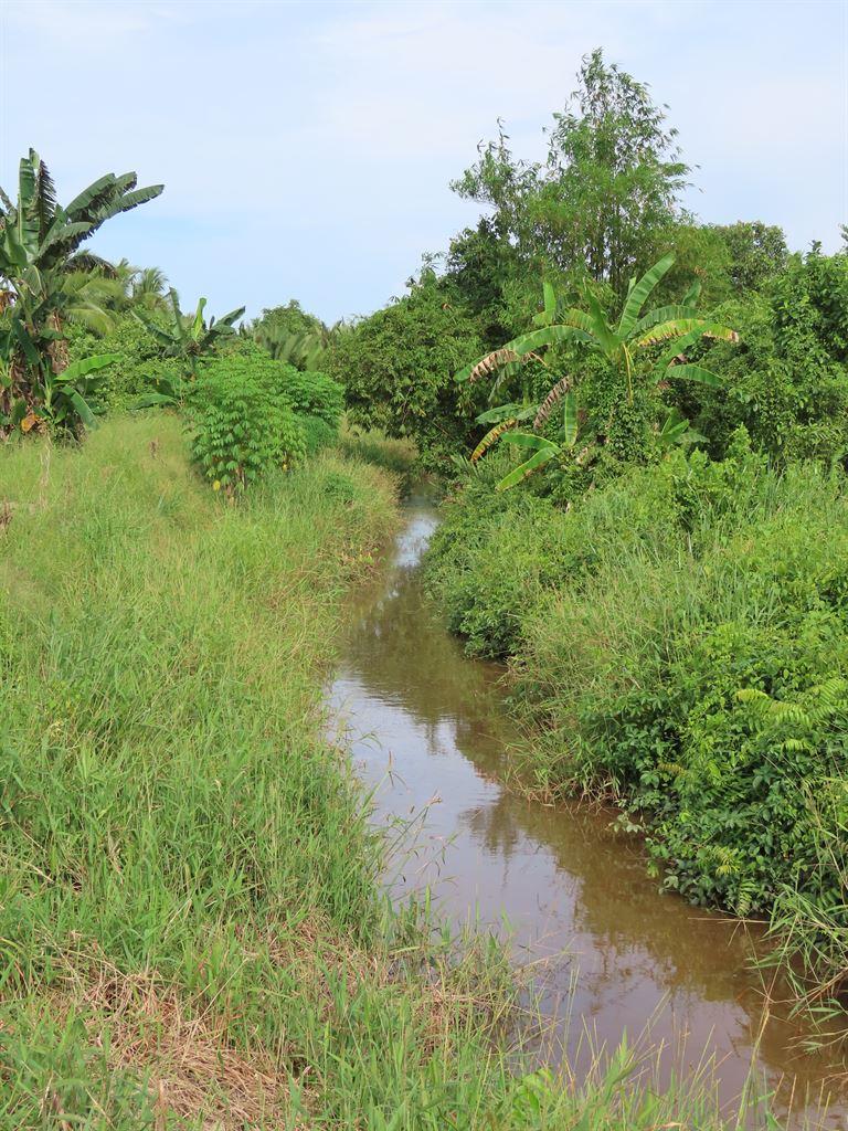 ditch1