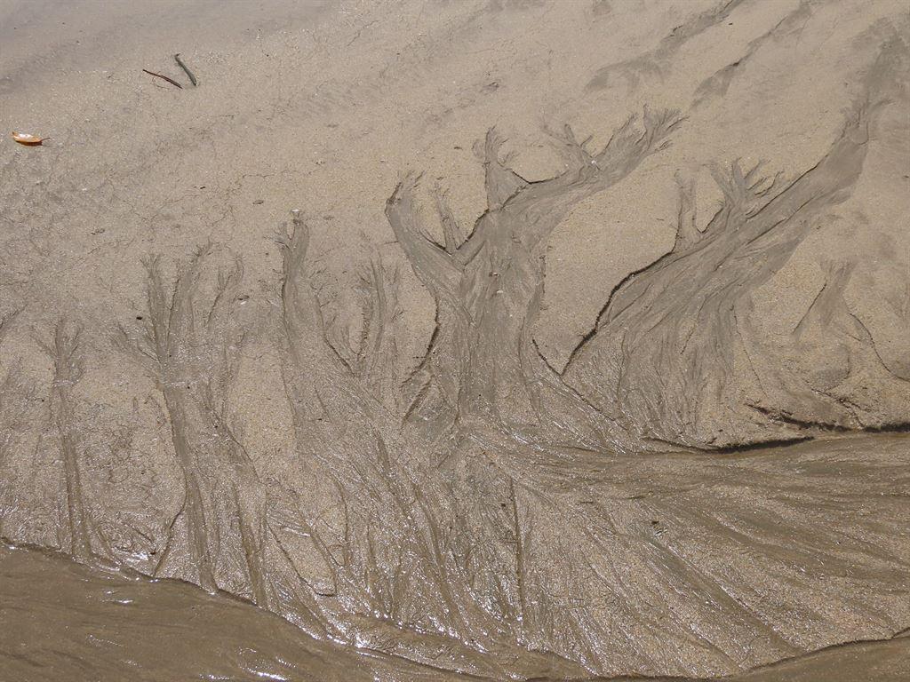 trees