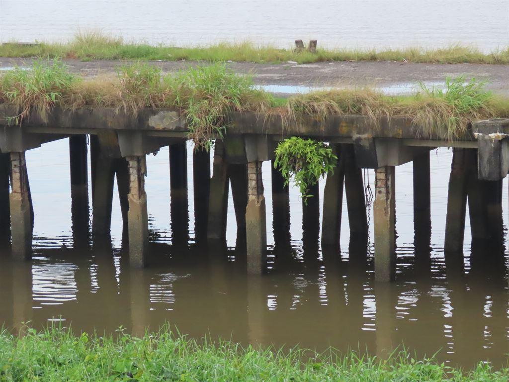 pierlegs