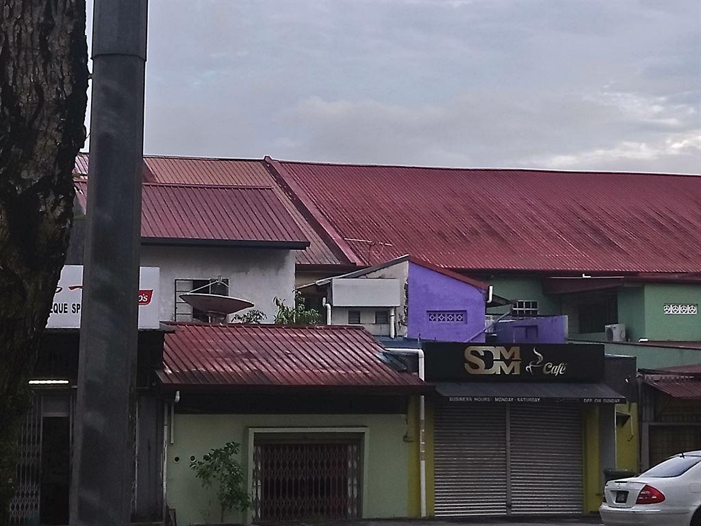 purpleback