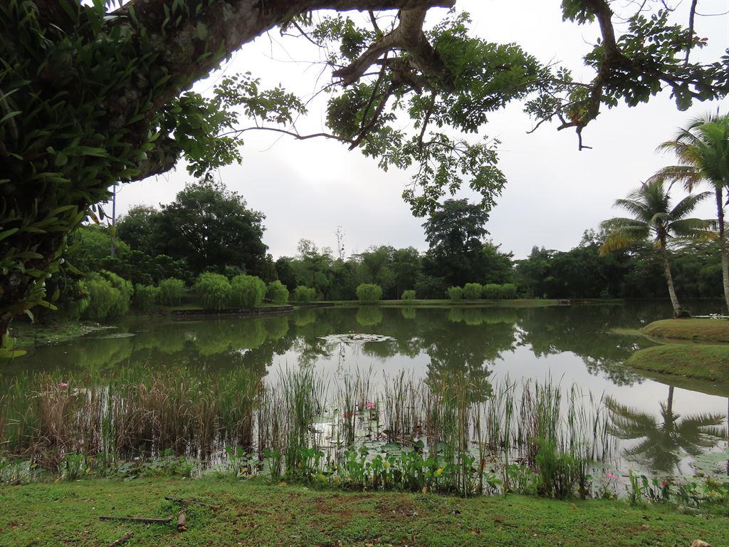 lake