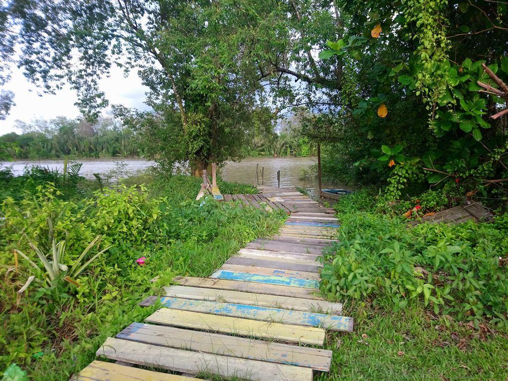 riverplanks