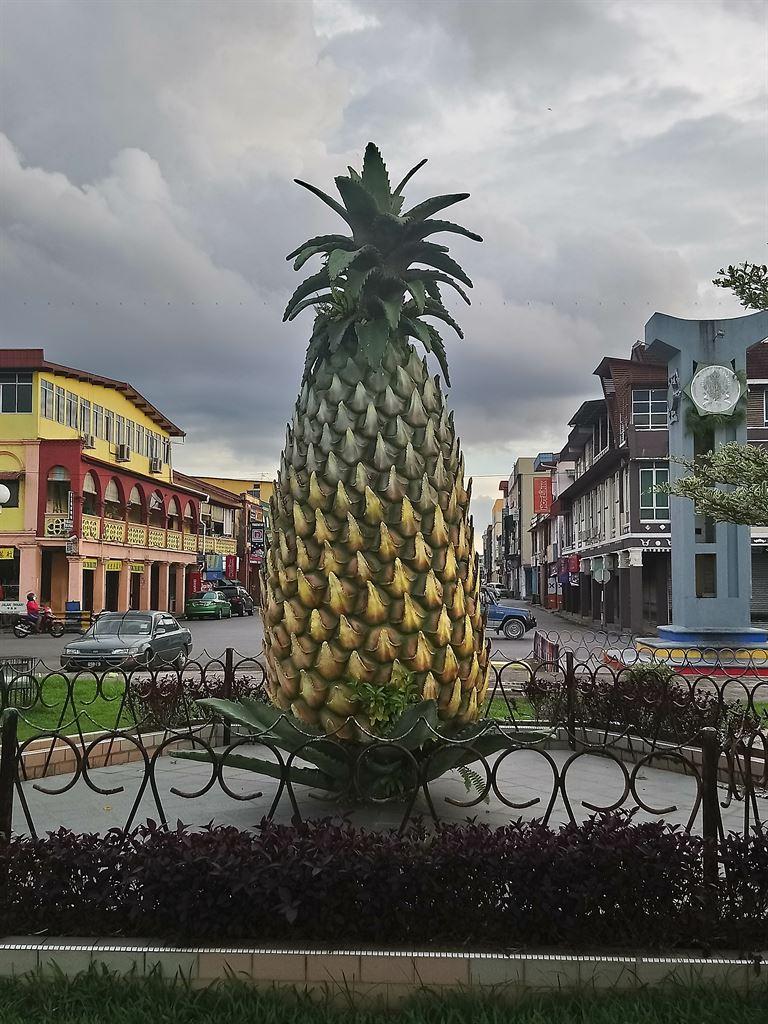 pineapple