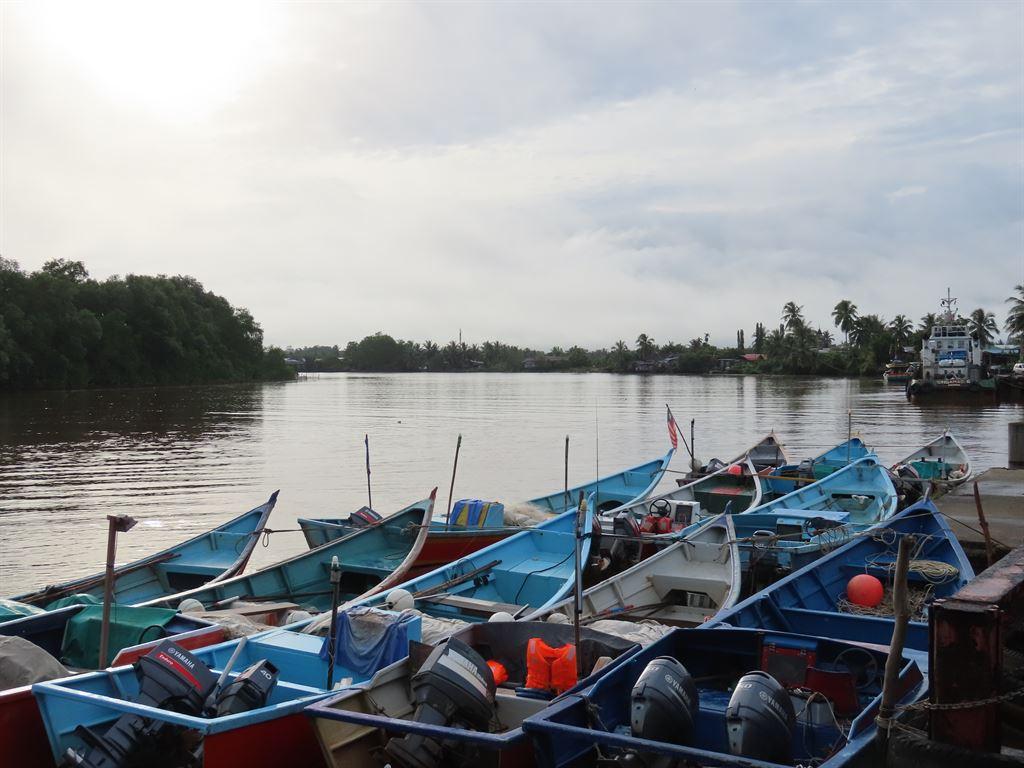 boats