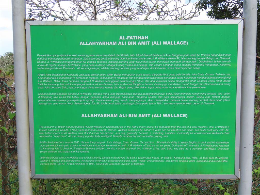 ali