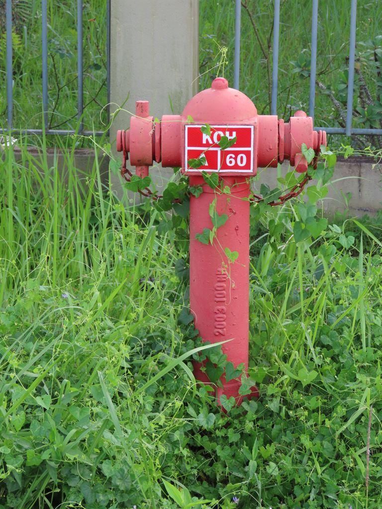 hydrant