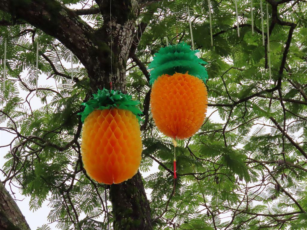 pineapples