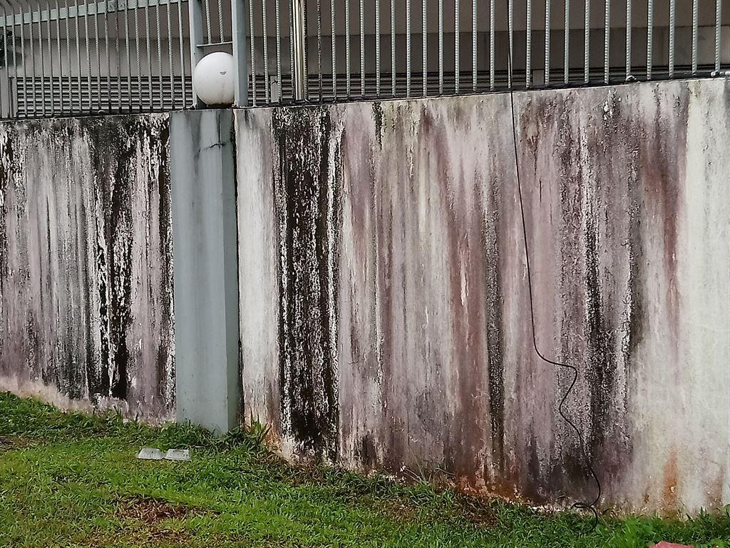 wall