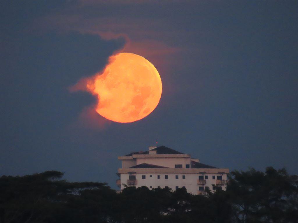 pinkmoon