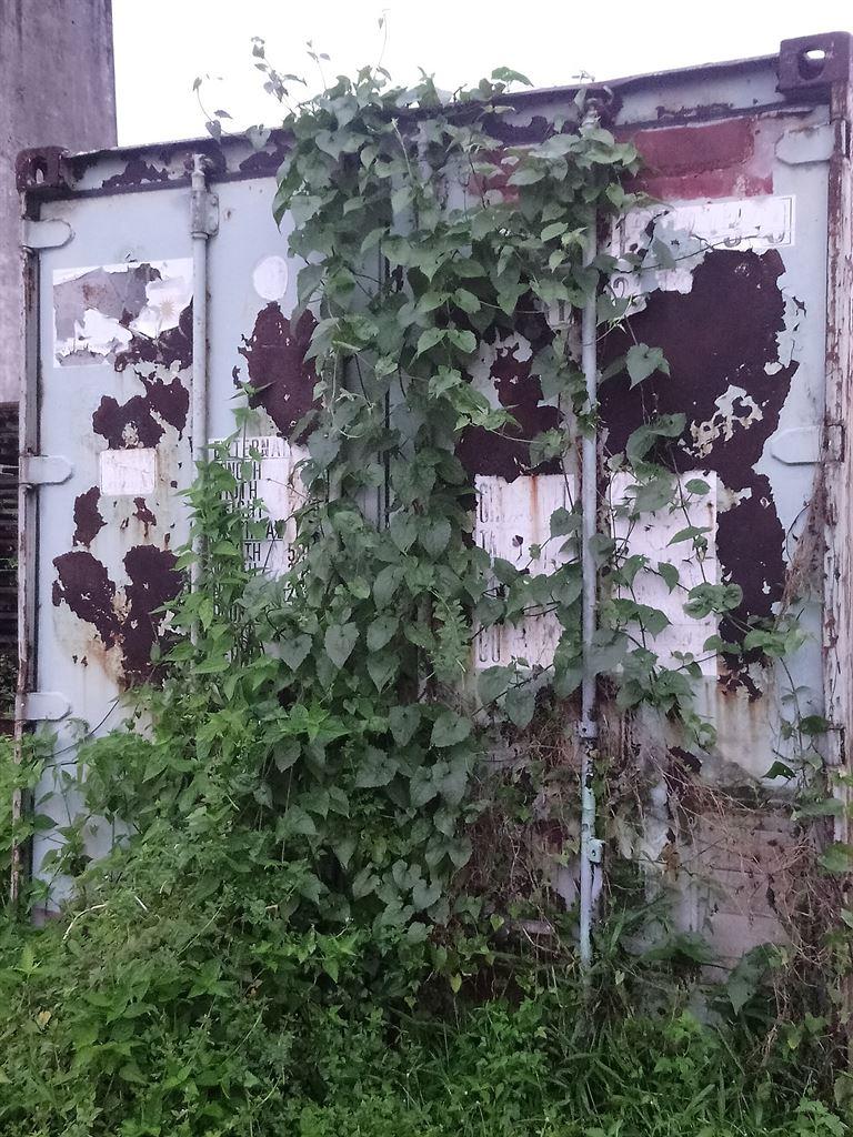 container1