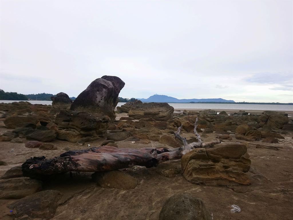 rockyview