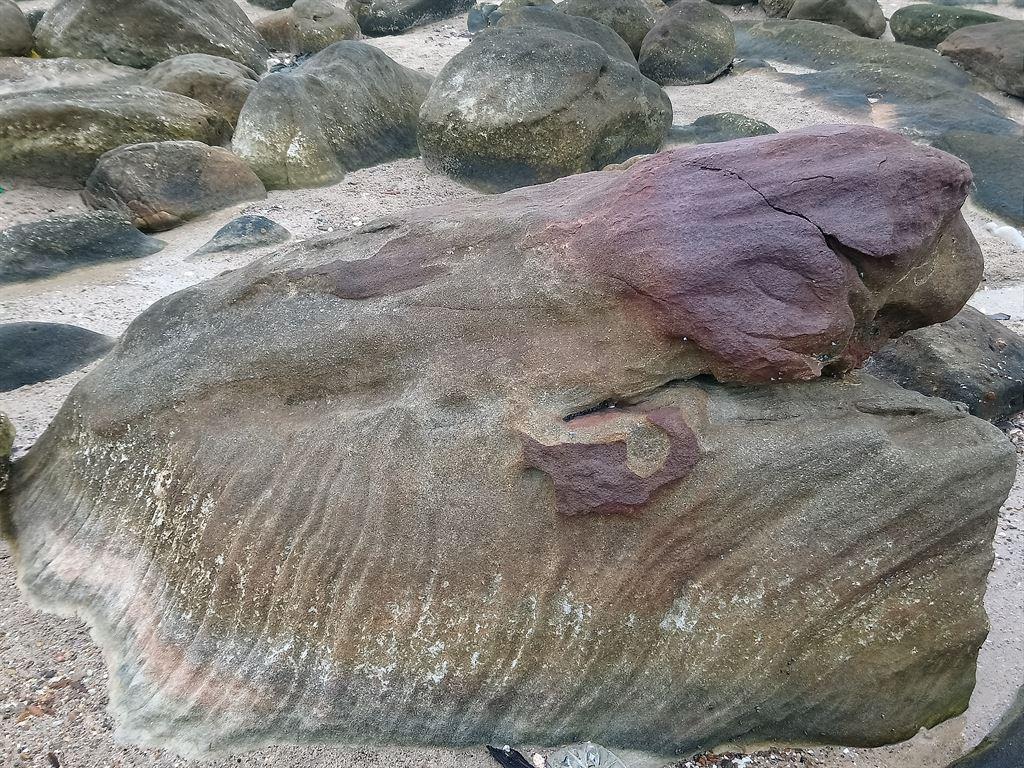rock