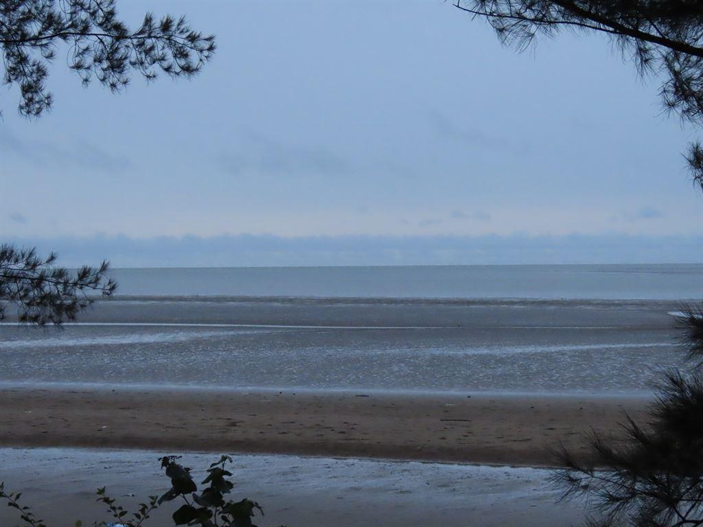 stripyview