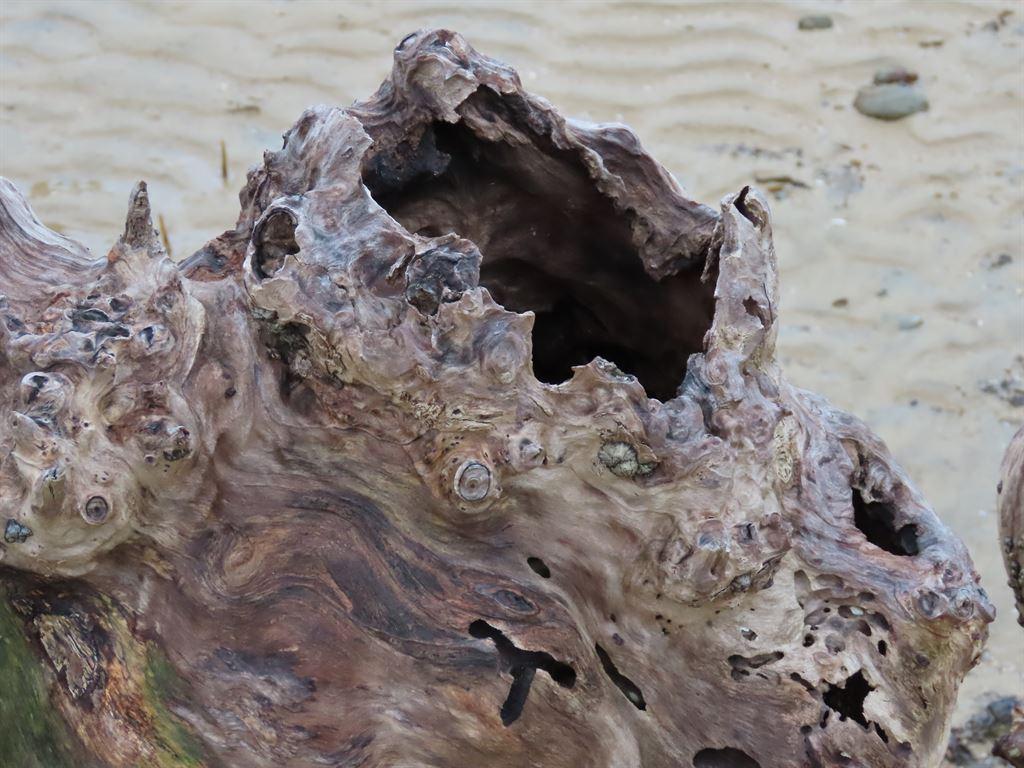 art1
