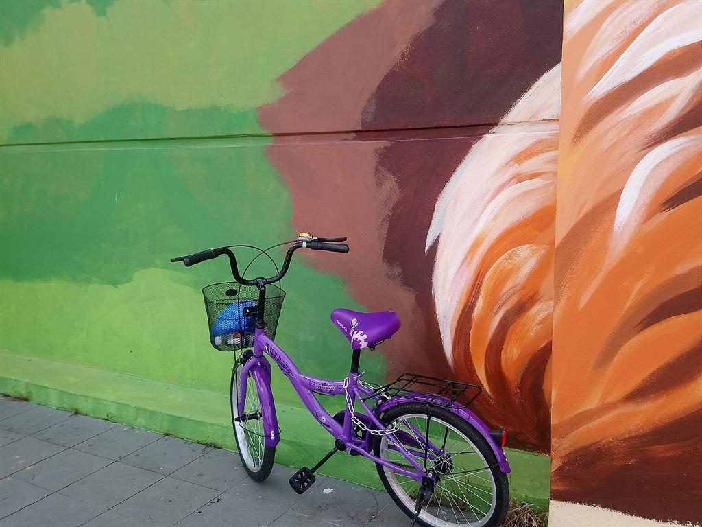 bike