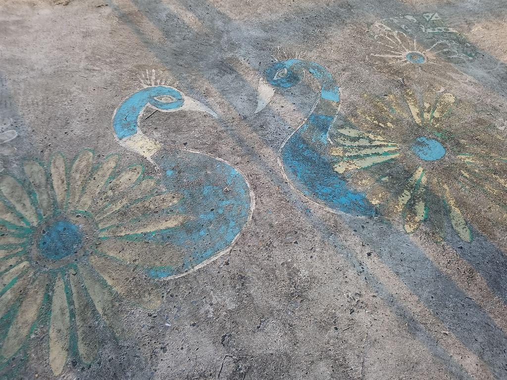 peacocks