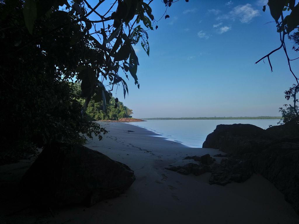 view