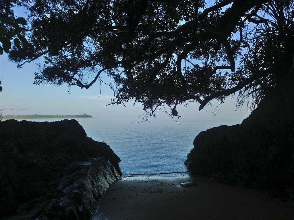 sea&tree