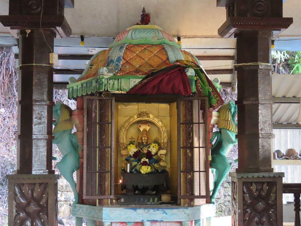 niche1