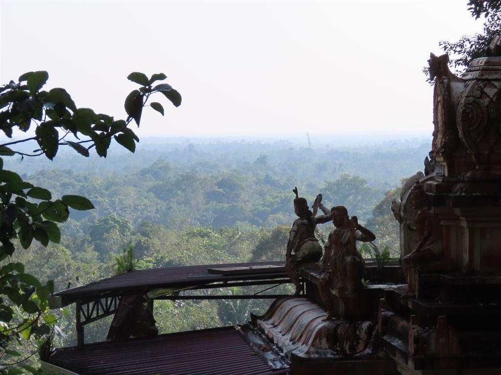 view