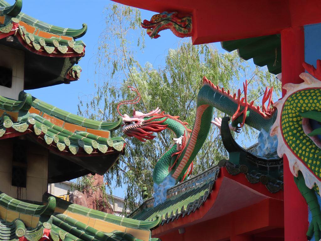 dragon