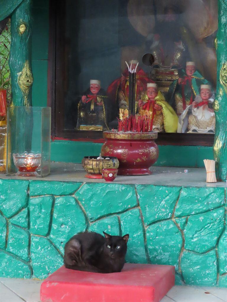 gods&cat