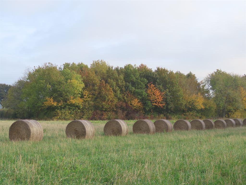 bales
