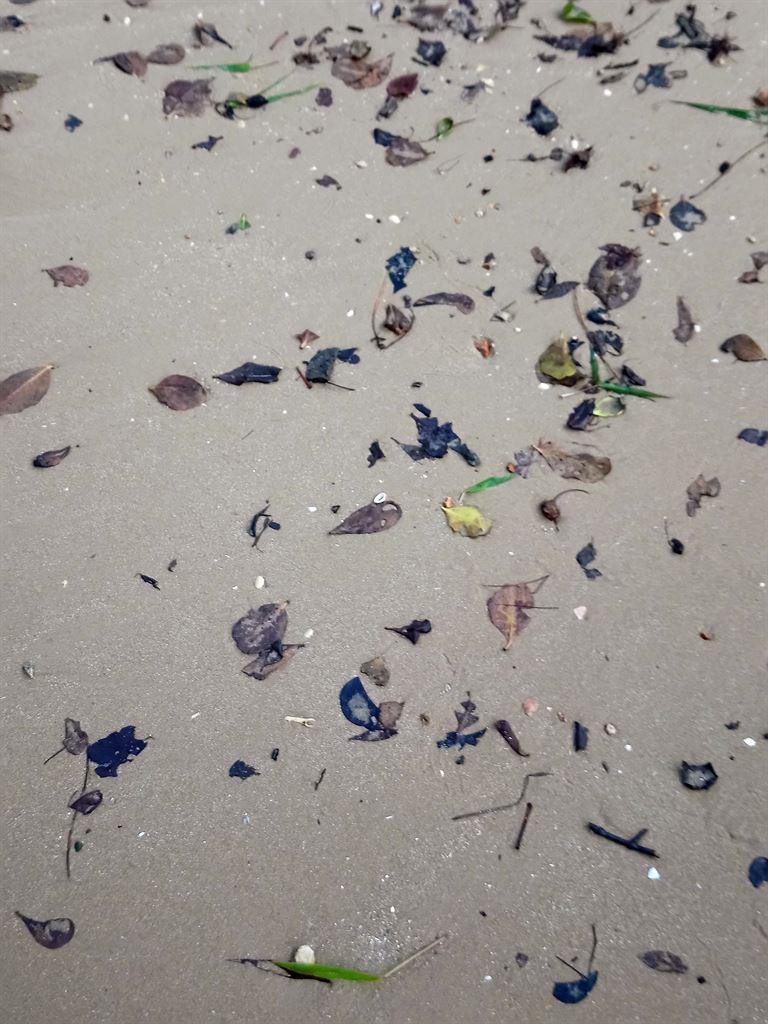 beachjewels