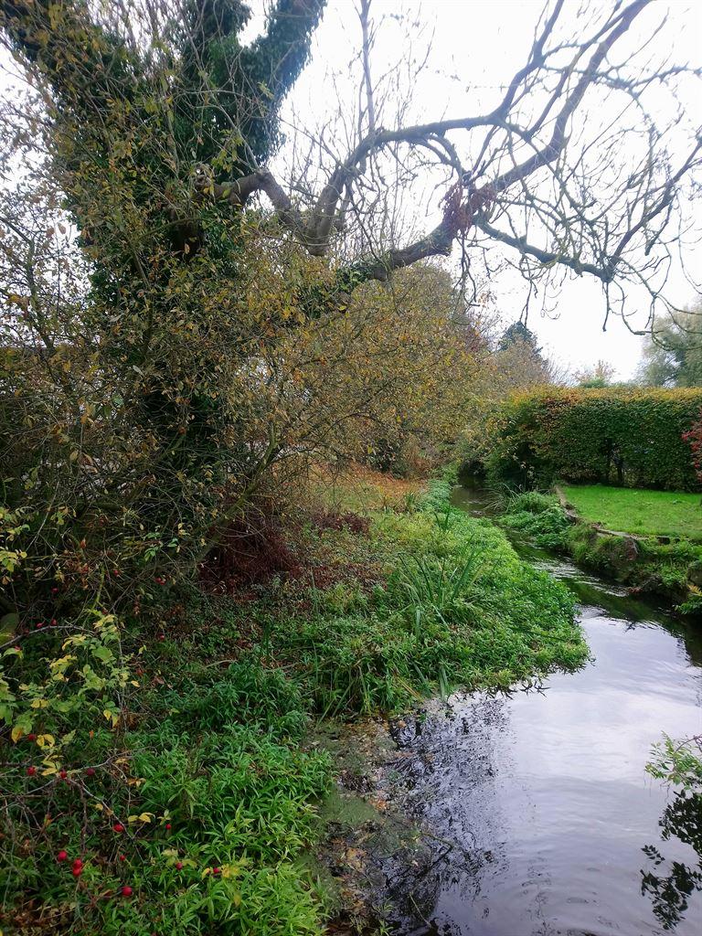 stream