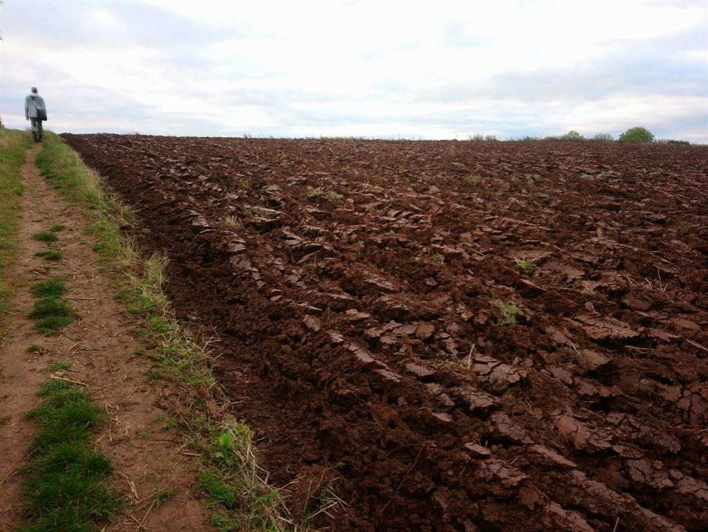 farmland2