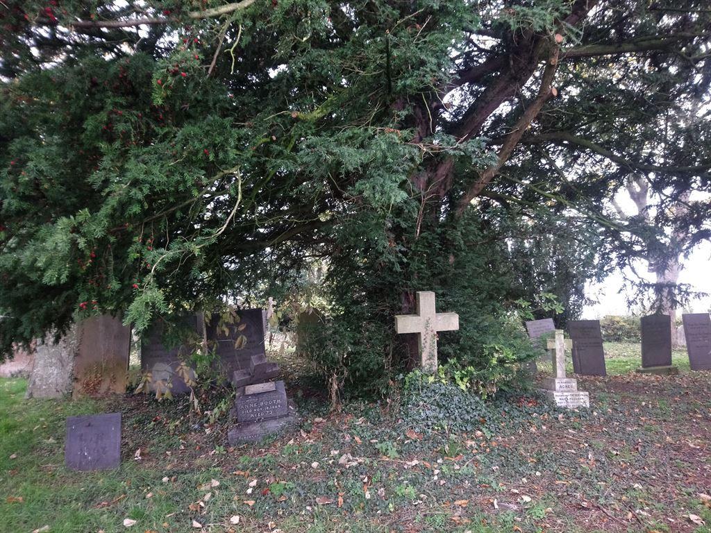 graveyard1