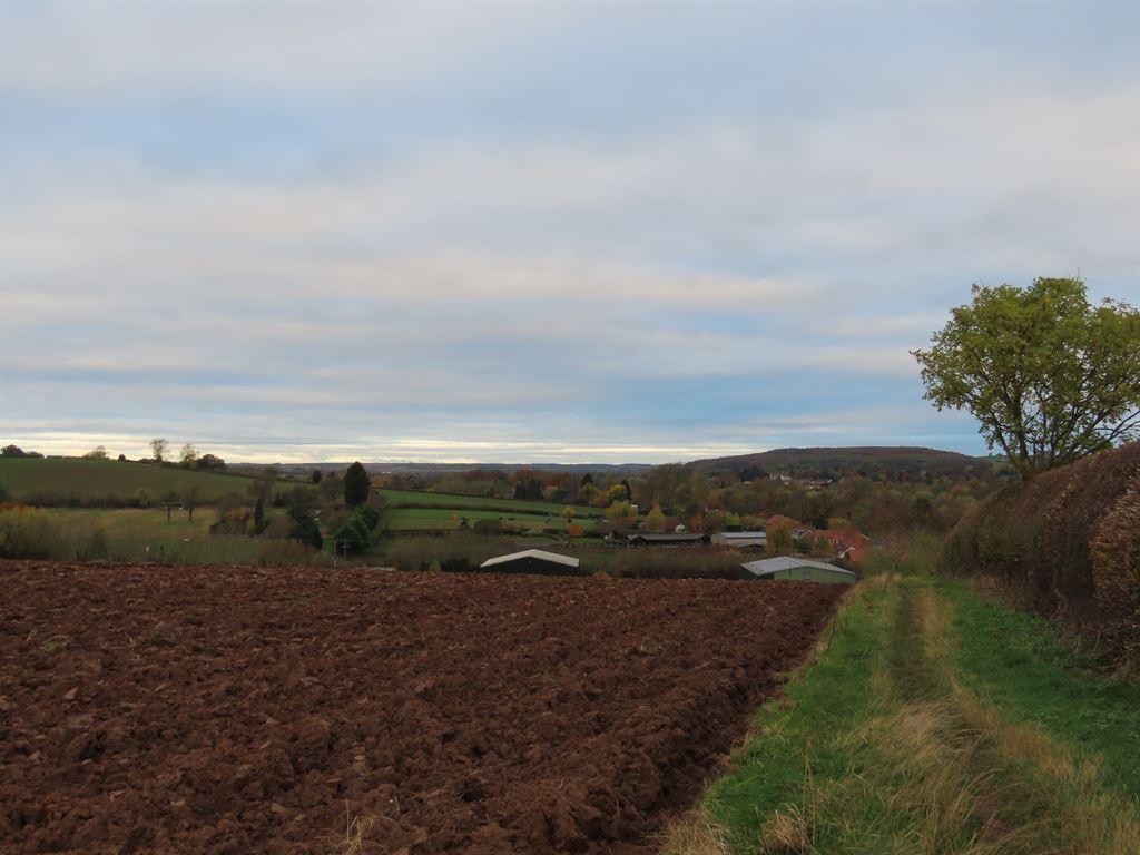farmland1