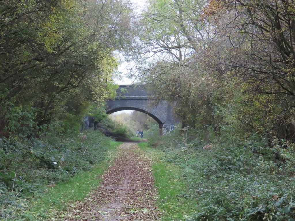 bridge1