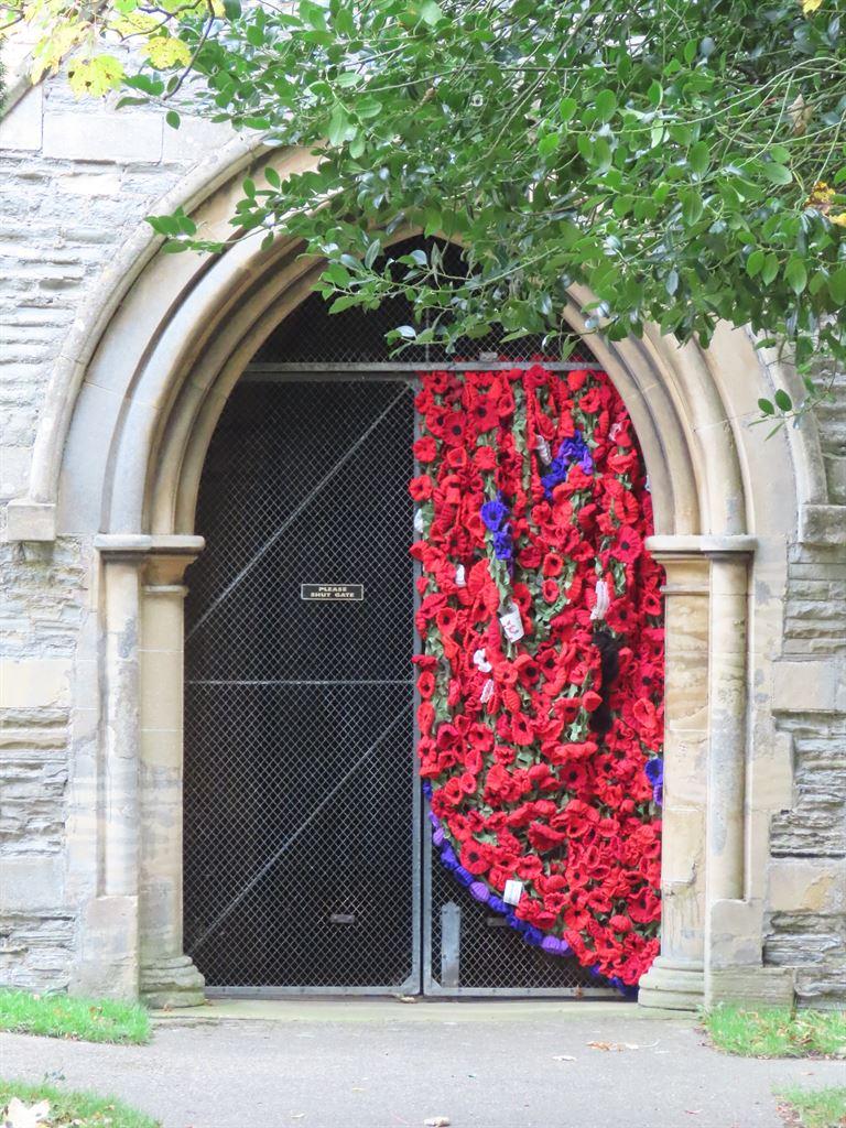 poppies