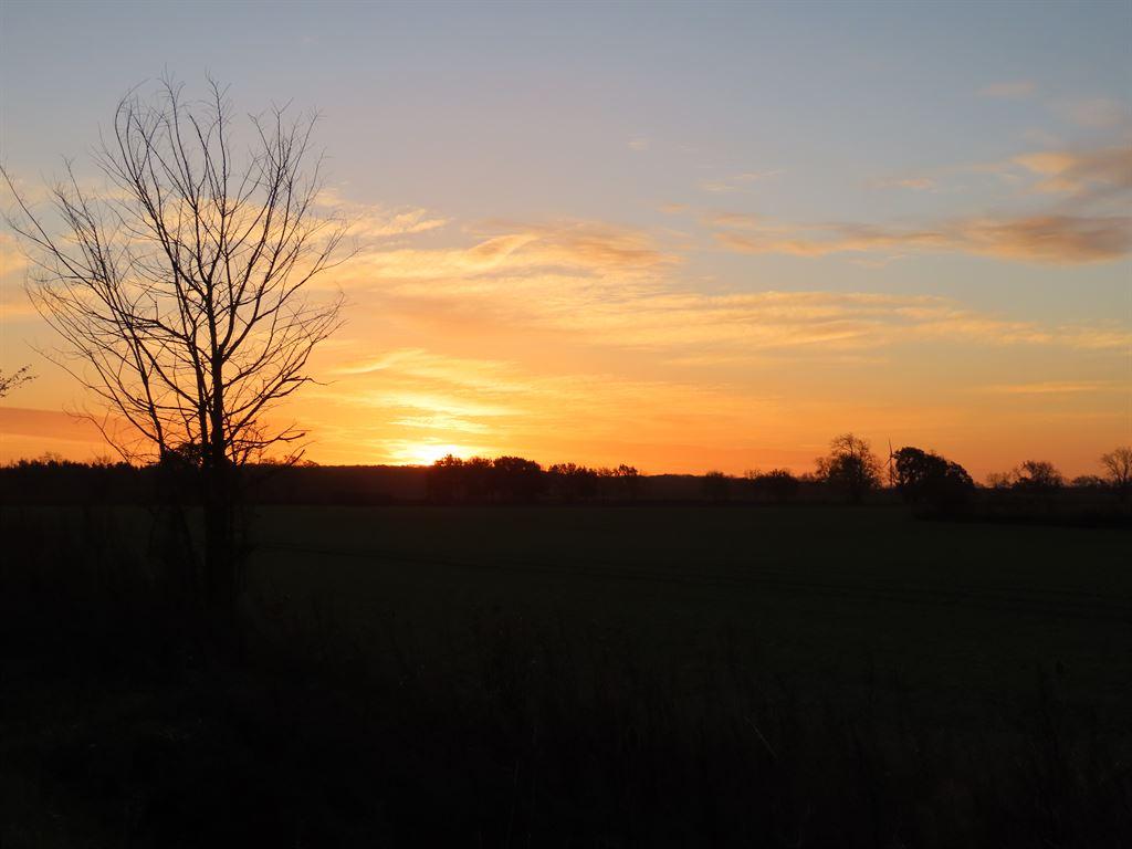 sunrise