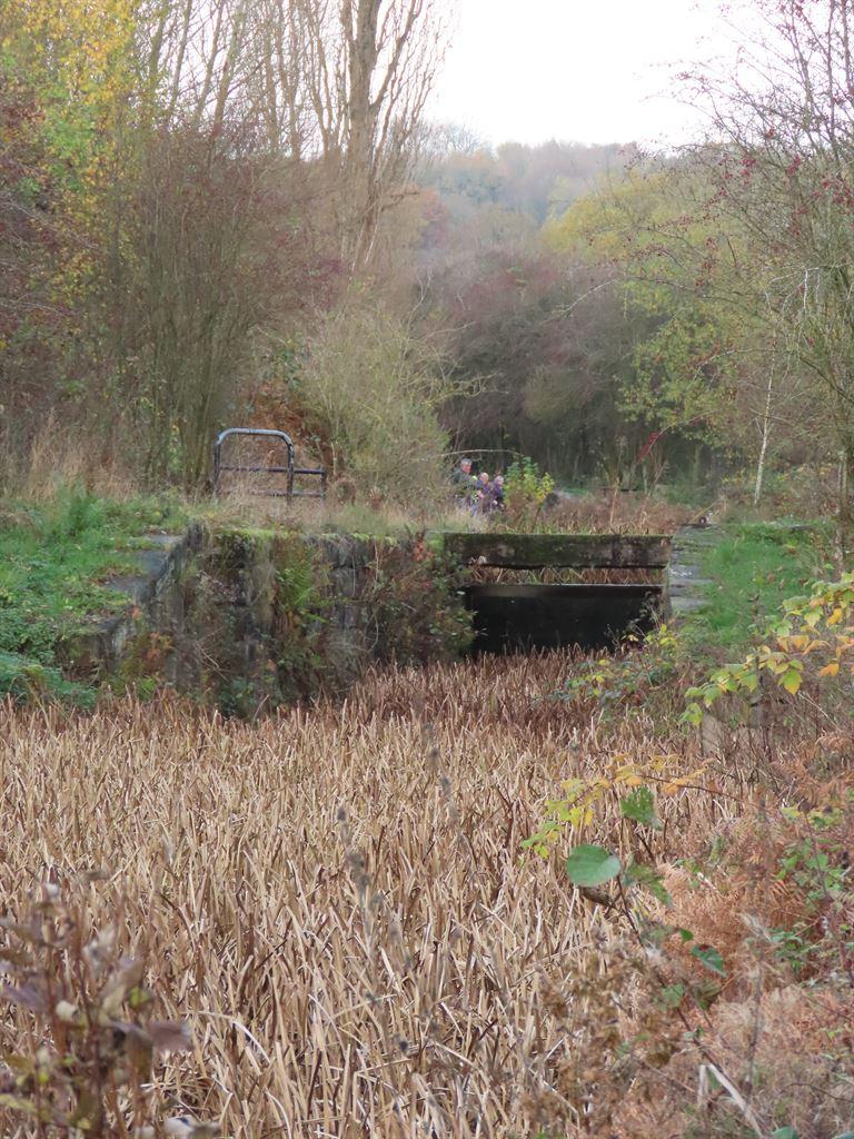bridge1