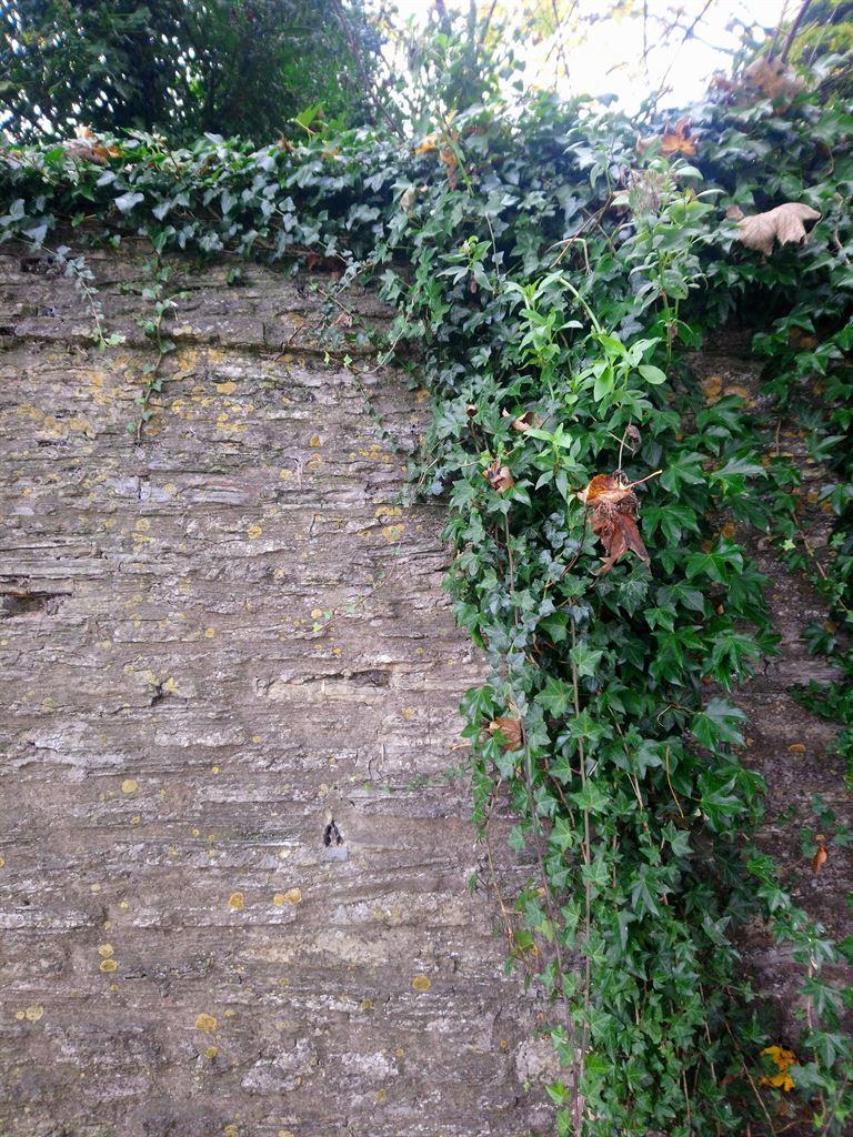 brick&ivy