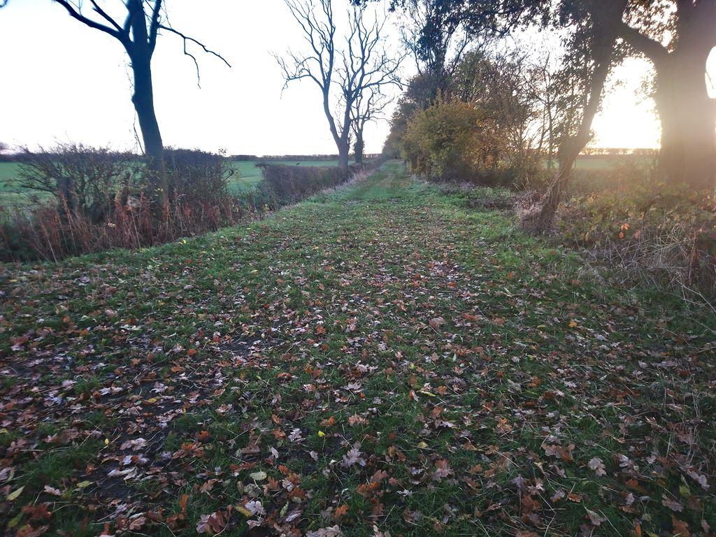 romanroad