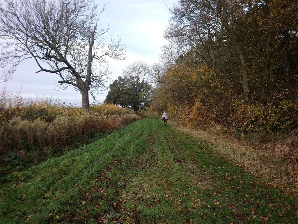 lane