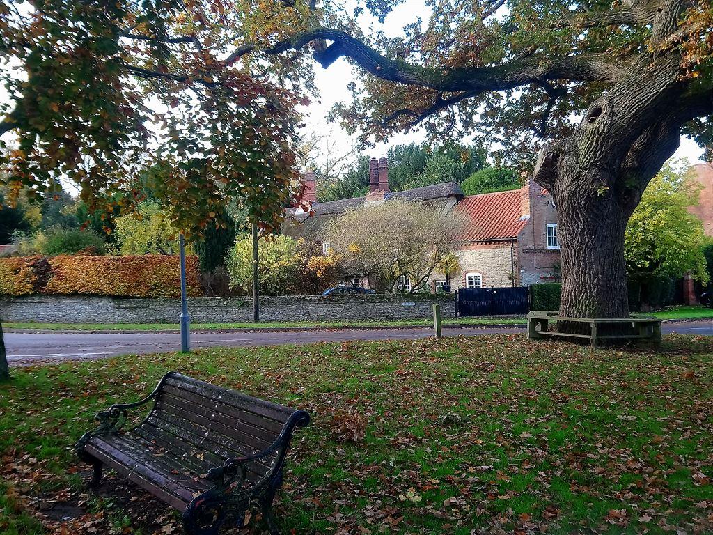 bench&tree