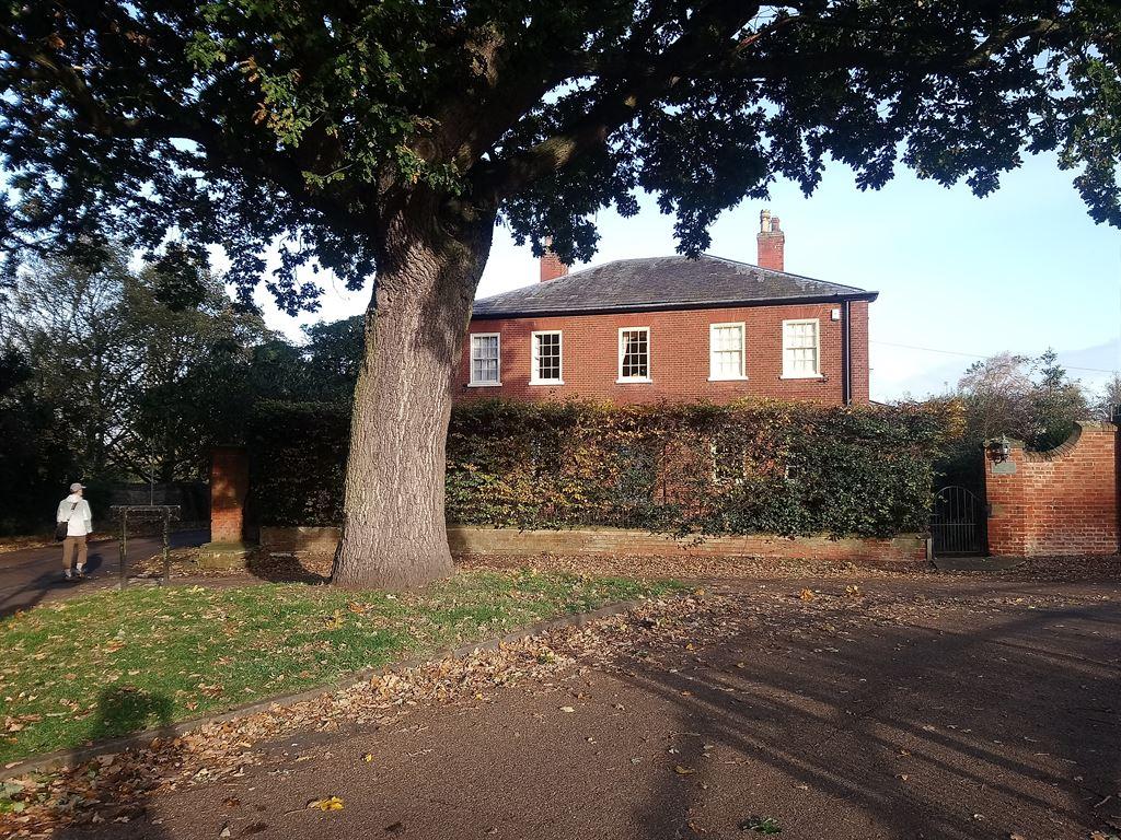 house&tree