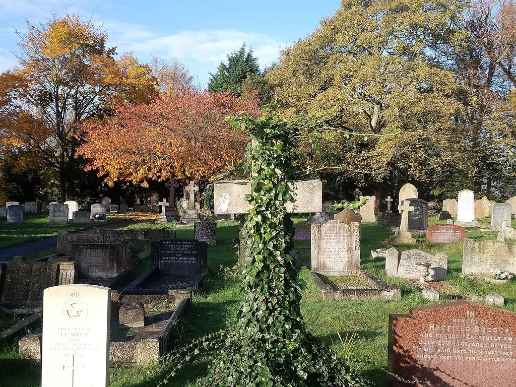 grave&ivy