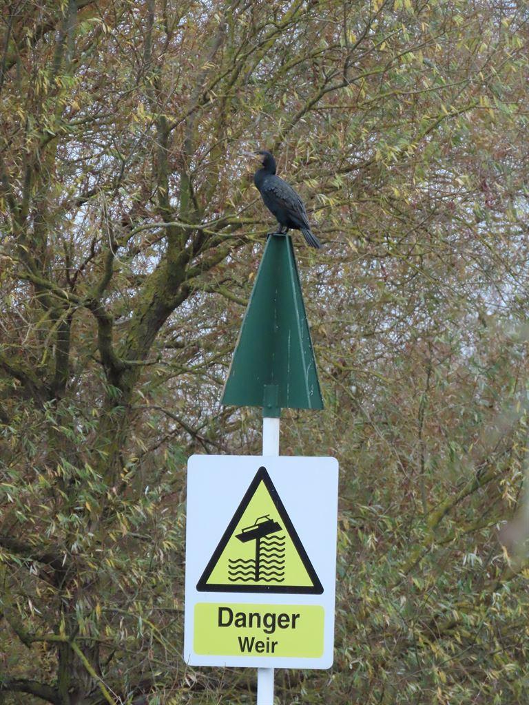 weirsign